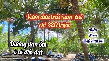 T. 123 - Vườn dừa cho trái xum xuê đường ô tô chỉ 320 triệu | xã Hữu Đạo, H. Châu Thành, Tiền Giang