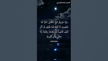 سورة لقمان من  آية 32 إلى آية 33 بصوت الشيخ ياسر الدوسري♥♥