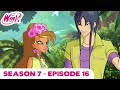 Winx Club - FULL EPISODE | Back To Paradise Bay | Season 7 Episode 16