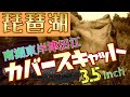 【琵琶湖バス釣り】南湖でもカバースキャット落とすだけで釣れる説　琵琶湖おかっぱりの強い味方！大人気デプスのカバースキャット3.5インチは南湖でも釣れるのか？琵琶湖南湖東岸津田江でオカッパリバス釣り