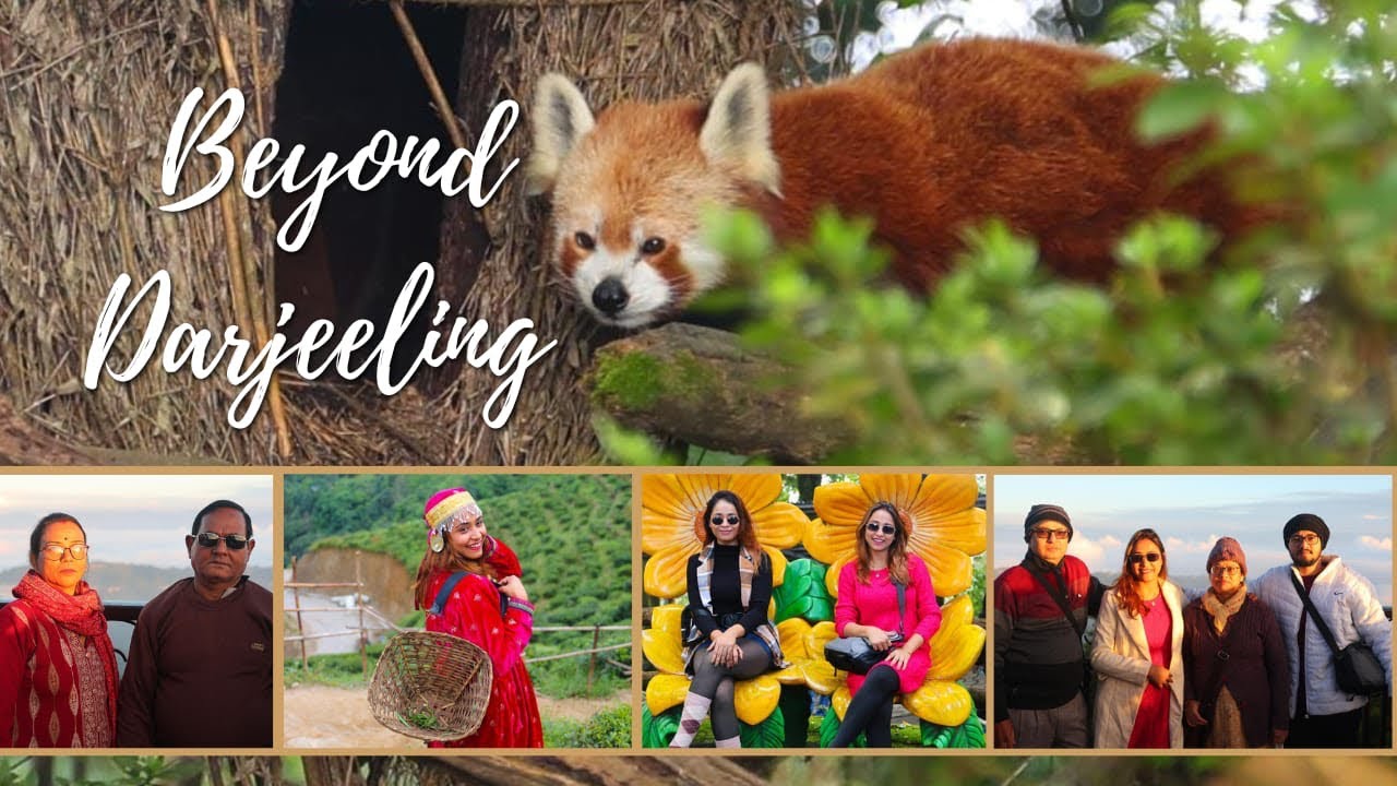 This Side of Darjeeling Will Surprise You  | Tiger Hill & Offbeat Travel