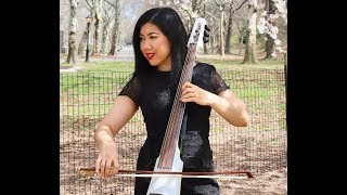 The Arena-Lindsey Stirling-Electric Cello Cover