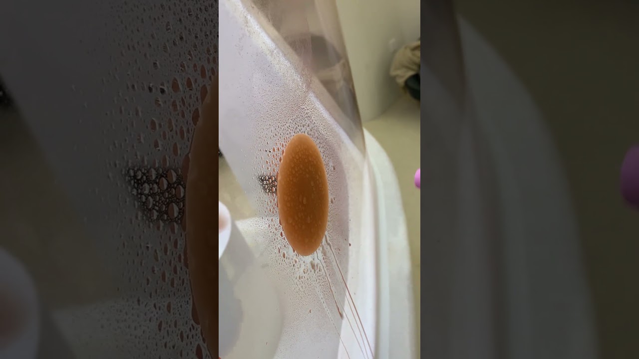 Niidor Nipple Covers Waterproof and Seamless Test - What You Must Know!