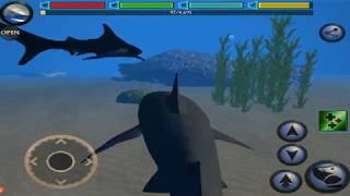 🦈Great White Shark Family Simulator 3D, Ultimate Shark Simulator, By Gluten Free Games
