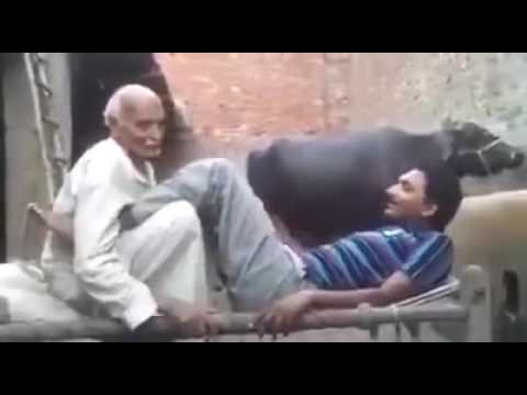 Pakistani Baba And Hot Boy Punjabi Boy Sexy Youtube