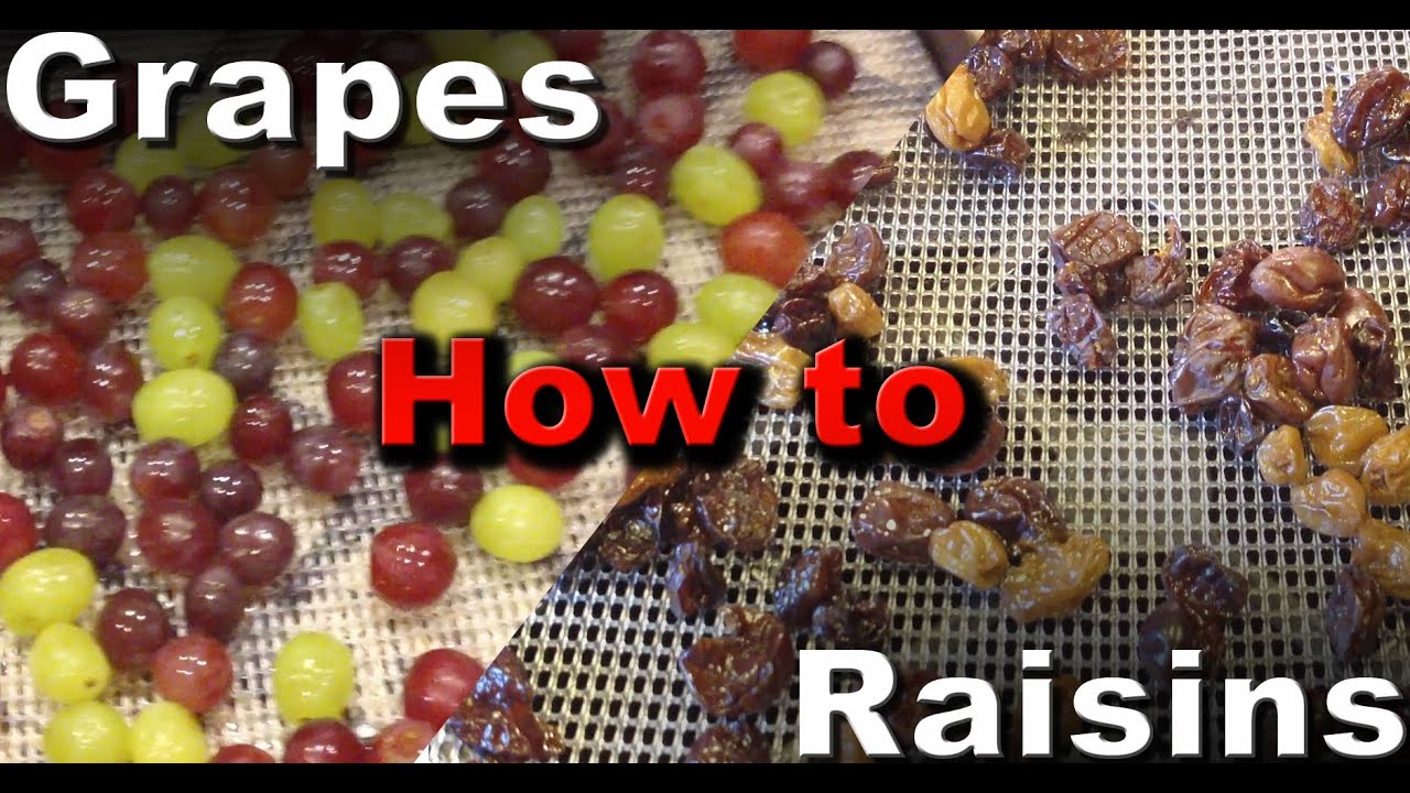 How to make Raisins (Dehydrated Grapes) - YouTube