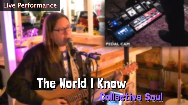 Collective Soul - The World I Know (Live Loop Cover)