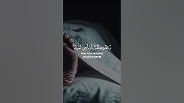 Bilal Darbali - Lukman Suresi 34  بلال دربالي سورة لقمان
