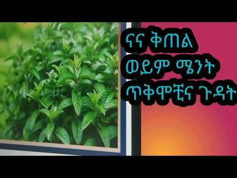 ቪዲዮ: ቅጠል ሮለቶችን እንዴት ይያዛሉ?