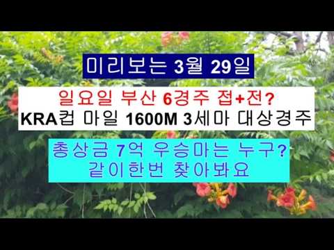KRA컵 마일 3세마 대상경주 총상금 7억 1600M 우승마 같이한번 찾아봐요?