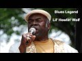 Capture de la vidéo Lil Howlin Wolf - Blues Legend - 1930-2018
