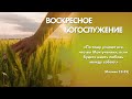 Воскресное богослужение (21 ноября 2021)  Церковь &quot;Благодать&quot; Калуга