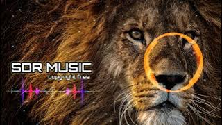 JVLA - Such a Whore (Stellular Remix) (SDR Release) [Coyright Free 100%] | Background Music.