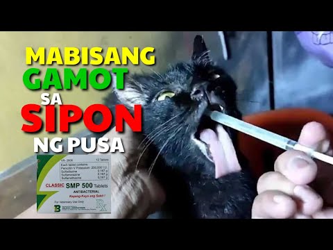 SMP 500 MABISANG