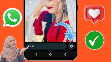 WhatsApp Status Like Option New Update | How to Fix WhatsApp Status Like Button Option Not Showing