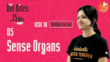 Bio Bites in 15 minutes L-5 | Sense Organs | ICSE Class 10 Biology Chapter 9 | Vedantu 9 and 10 Eng