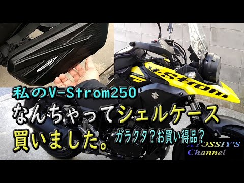 【SUZUKI V-Strom250】なんちゃって小シェルケースを買いました。（TEMU）