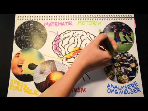 Video: Sådan Bruges Hele Hjernen