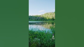 أواخر سورة النبأ تلاوة عبدالرحمن مسعد - جزء ثاني
