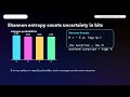 Entropy: The Price of Missing Information