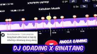 DJ Odading X Binatang 🎶🎶😎😎 || Story WA 30 Detik || Beat VN DJ Tiktok Viral