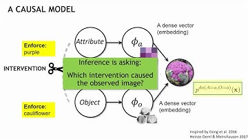 A Causal View of Compositional Zero Shot Recognition