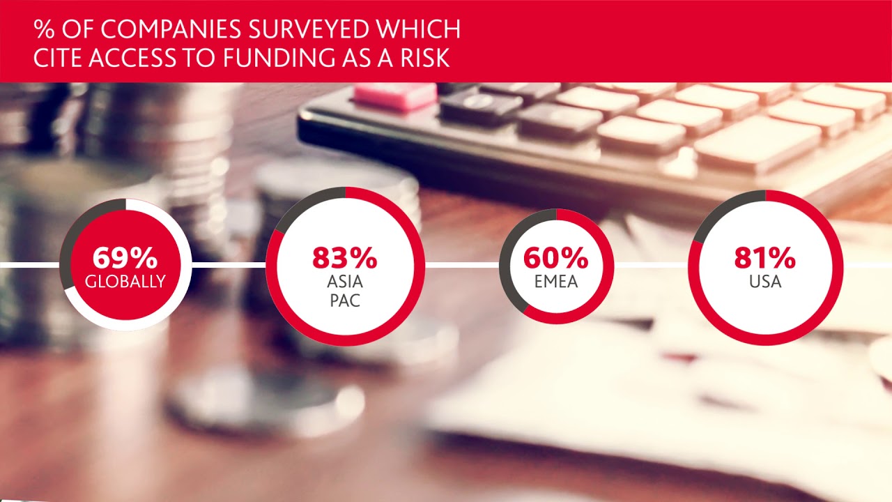 auditor job description Risk 4 access to finance 1