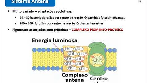Qual a principal diferença entre os fotossistemas Ie II?