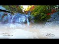 104 سورة الهمزة القارئ حمزة معاذ 104 سورة الهمزة القارئ حمزة معاذ