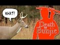 Where to Aim on a Deer with Your Crossbow!