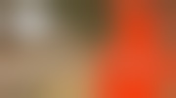 Where to Aim on a Deer with Your Crossbow!