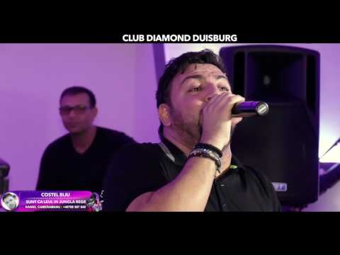 Costel Biju - Sunt ca LEUL in jungla Rege New Live 2017 byDanielCameramanu @ Club Diamond