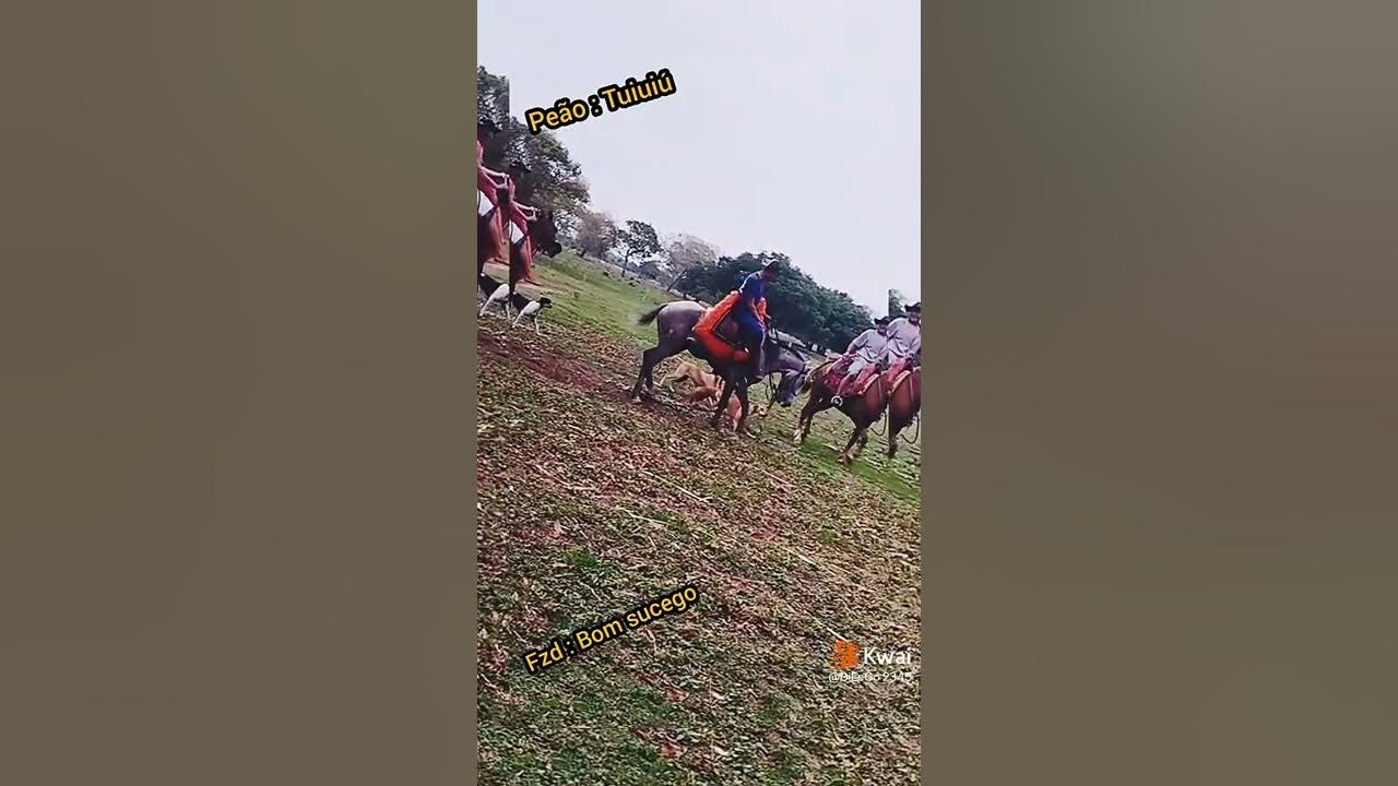 Cavalo pulando sentao pantaneiro 