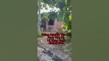 Nền giá rẻ Trung Tâm Thương Mại Phong Điền - Cần Thơ. Ngay Chợ Phong Điền 3 tỷ 950 triệu