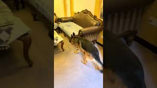 2 Days Left! My Sister Still Wants to Play. Will My Suffering Be Extended
