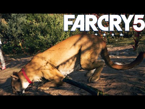 Vídeo: Far Cry 5 Agora Tem Um Modo De Foto