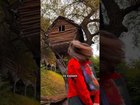 🤯 Живу в избушке на курьих ножках 🐔