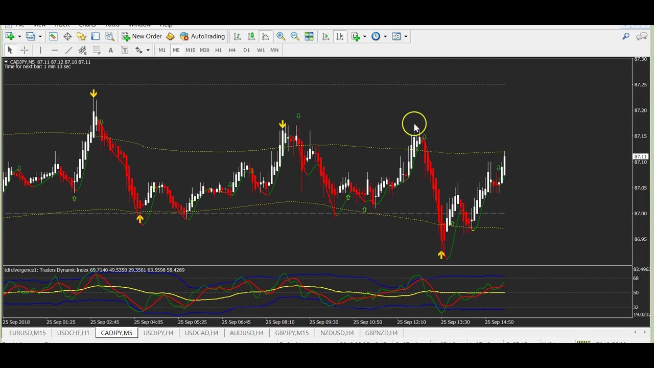 Amibroker for Forex | blogger.com amibroker for forex trading