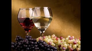 LAS PROTEÍNAS DEL VINO || QUIEBRA PROTEICA Y CLARIFICACIÓN DEL VINO