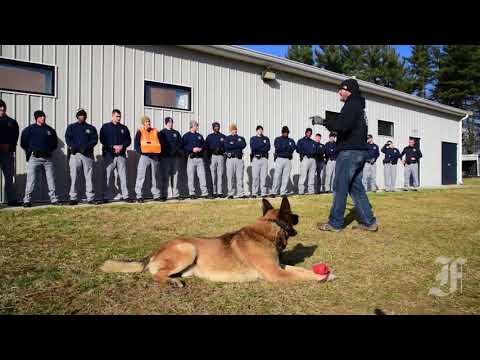 earning-the-badge:-k-9-handler