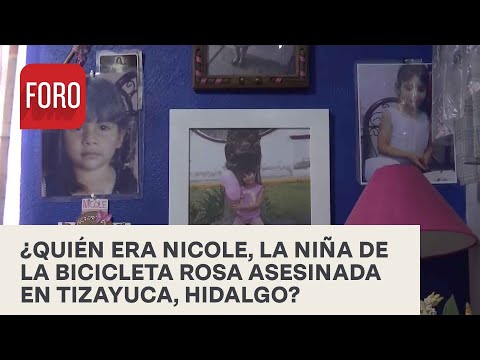 Nicole Santos, tenía siete años cuando fue abusada y asesinada en Tizayuca, Hidalgo - Las Noticias