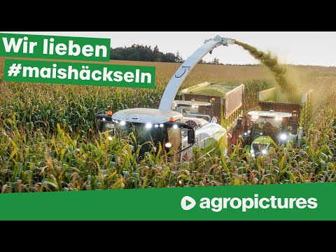 Claas Maisernte Event 2020 | Maishäckseln mit Claas Jaguar 990 TT, Axion 960 TT und Xerion 5000