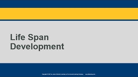 Lifespan Development