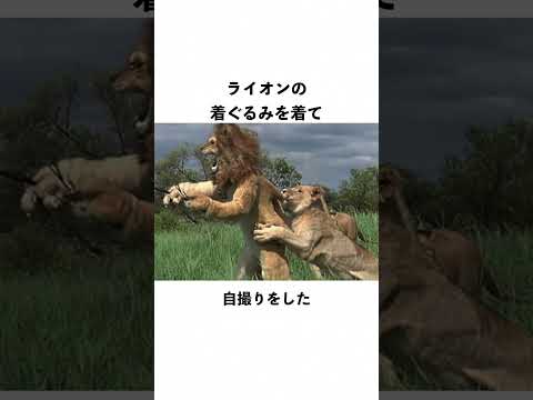 狩野英孝 に関する面白すぎる雑学 Shorts