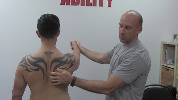 EricCressey.com: Making Sense of Serratus Anterior