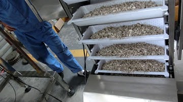 Z type Bucket Elevator for seeds chips snacks grains