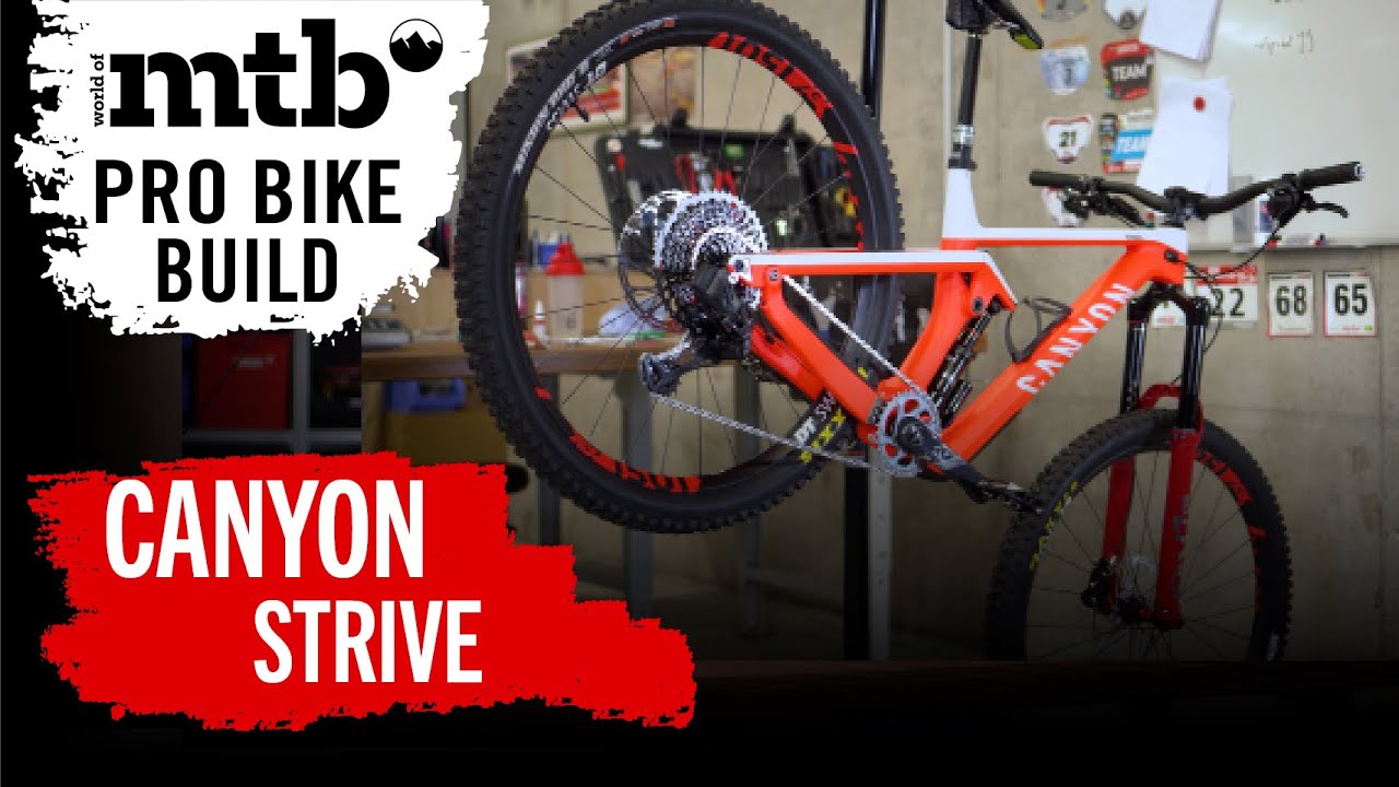 Dreambuild New 2021 Canyon Strive Endurobike | Dimitri Tordo I Probikebuild