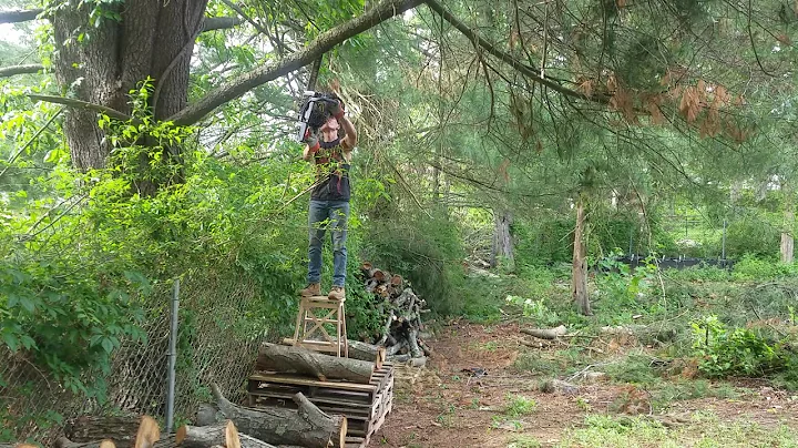 Ladder safety