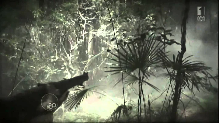 ABC1 Australia's First Aboriginal Officer Reg Saun...