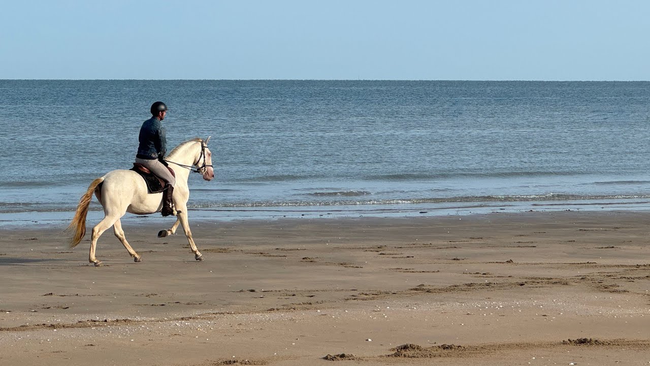 Vous venez avec nous?